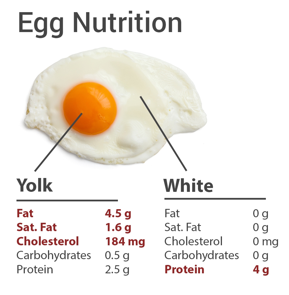 Grams Of Fat In An Egg 24