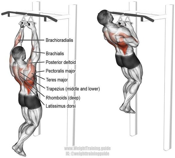 how-to-do-pull-ups-exercise-without-pull-ups-bar-bodyweight-secrets