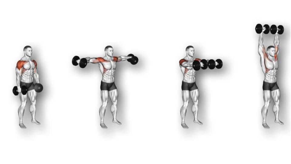 dumbbell training secrets