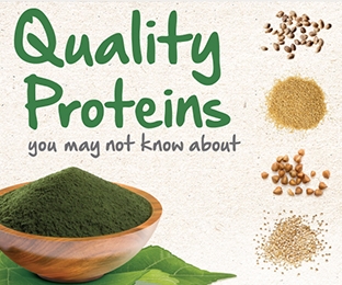 nutritional plant-based proteins
