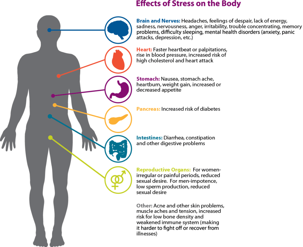 effects-of-stress-on-the-body