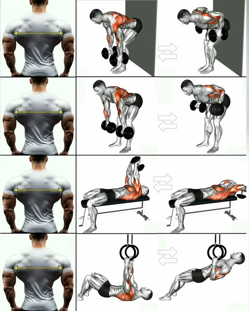 dumbbell training