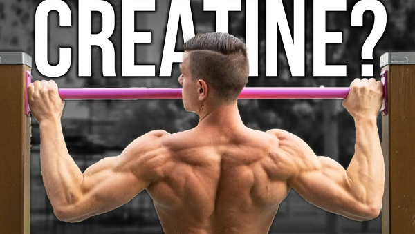 creatine